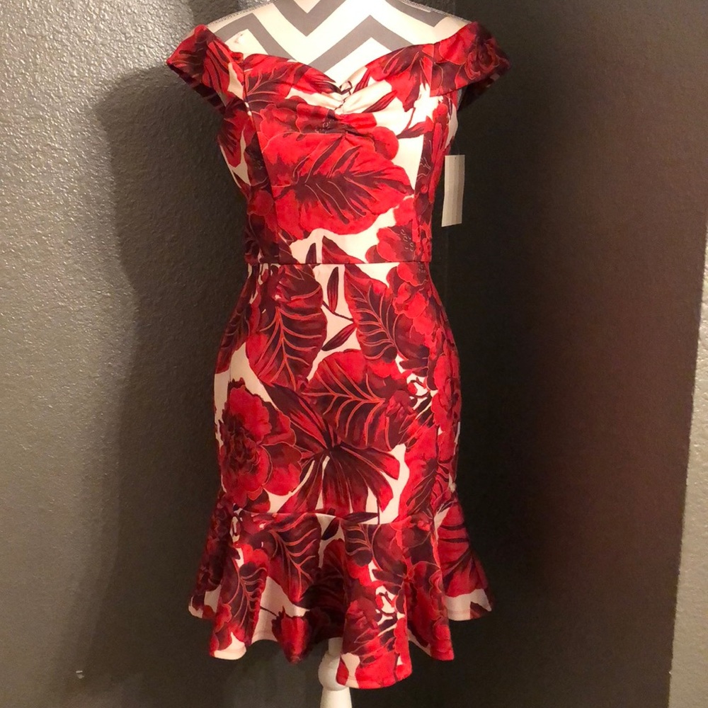 Used!! $30 Caladium overload dress